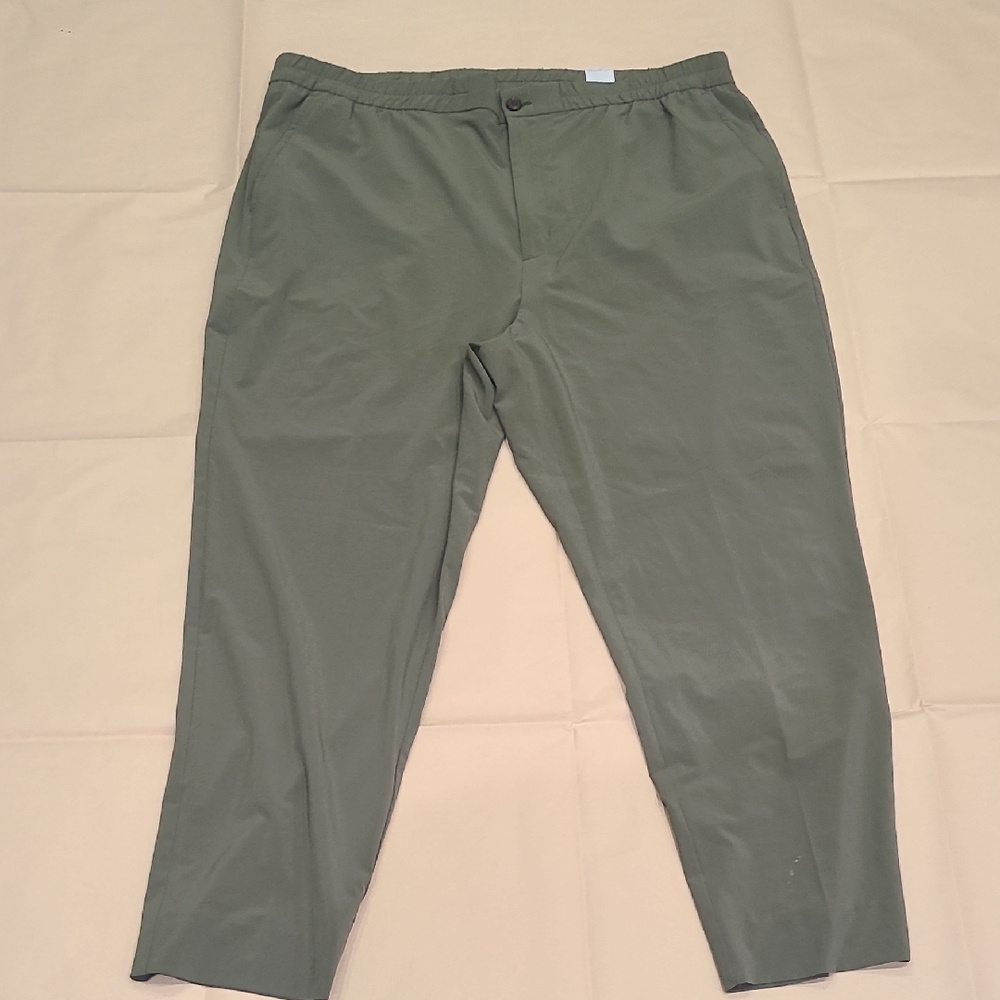Banana Republic Sage Chinos